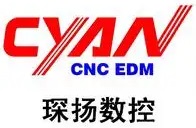 琛扬中走丝